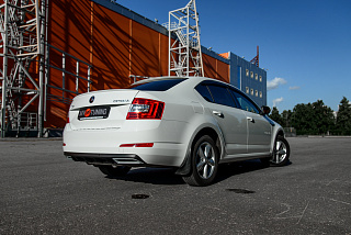 Козырек на  заднее стекло Skoda Octavia III A7 (2013 - 2023) + УСТАНОВОЧНЫЙ КОМПЛЕКТ